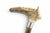Antique walking stick cane with a carved stag antler handle showing a finely carved hooded reindeer with elongated...