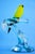 20th Century Sculpture of Parrot on Branch in Opaline Murano Glass attributed to Seguso Glassworks, Set of 2 For Sale - Image 10 of 18