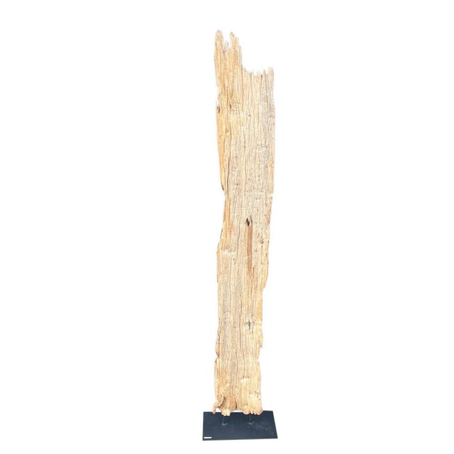 Contemporary Antique Driftwood On Metal Stand For Sale - Image 3 of 5