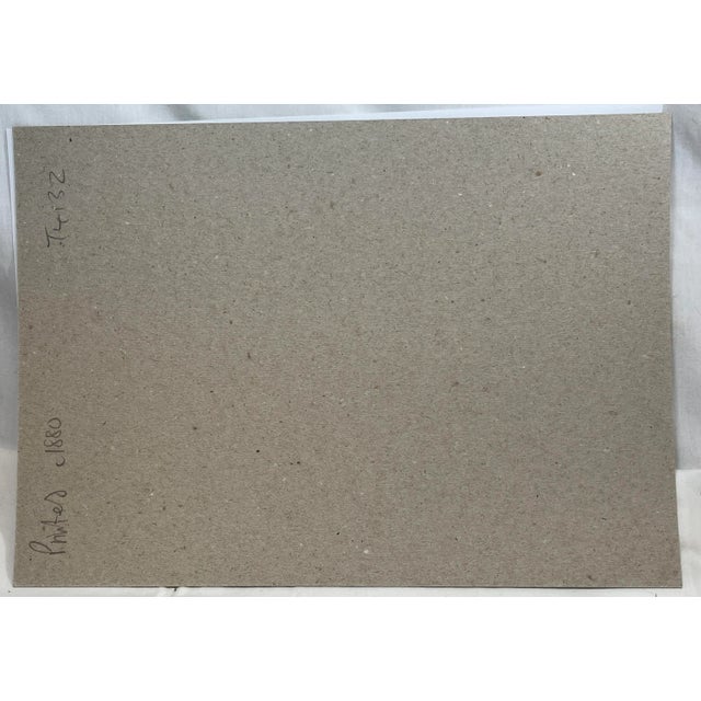 Antique Bird Print From England Showcasing an Impressive Gold-Vented Thrush - Circa 1880 For Sale - Image 11 of 11