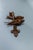 Antique Black Forest Carved Wood Wall Key Holder with Swallow Birds, ca. 1910s For Sale - Image 12 of 18