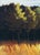 Cape Cod Morning Poster after Edward Hopper For Sale - Image 4 of 6