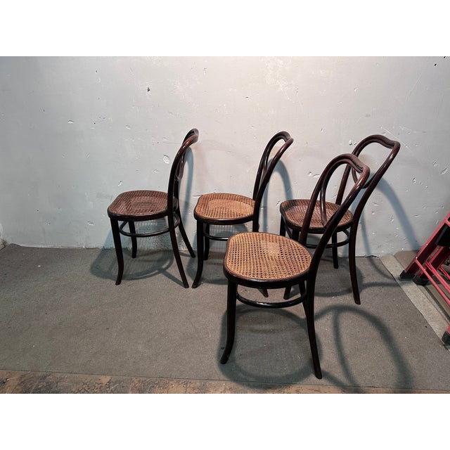 Elegant set of 4 Mondus chairs produced by Thonet, famous for the quality and timeless design of its bentwood furniture....