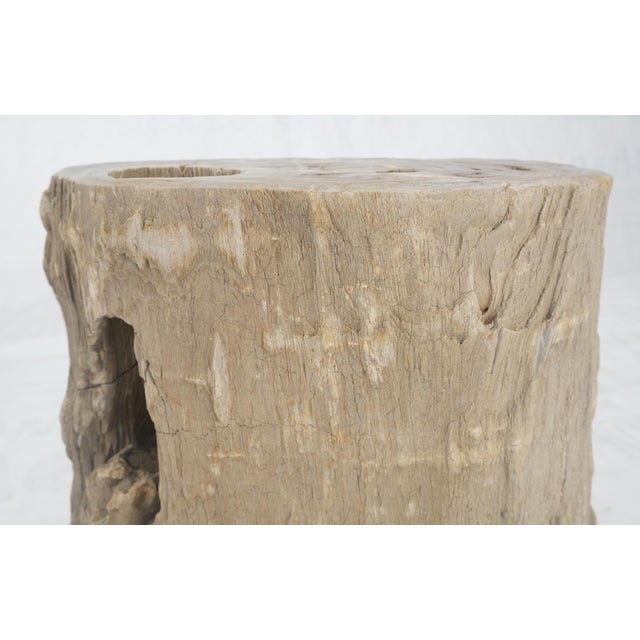 Large Beige Petrified Wood Organic Stomp Shape Stand End Side Table Pedestal For Sale - Image 6 of 11