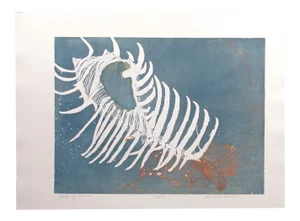 1970s Color Etching "Comb of Venus" by Lin Carte Anderson Unframed Shell Art Print