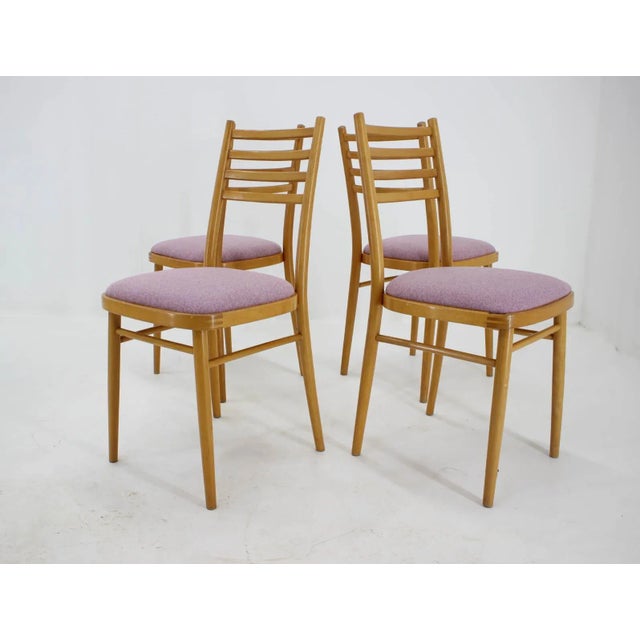 Wood Mid-Century Dining Chairs from Interier Praha, 1970s, Set of 4 For Sale - Image 7 of 9