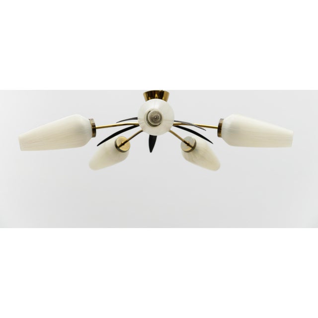 Mid-Century Modern 5-Armed Brass and Glass Sputnik Lamp, 1950s For Sale - Image 13 of 13