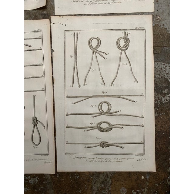 Late 18th Century Antique 18th Century Knot Engravings - Set of Five For Sale - Image 5 of 7