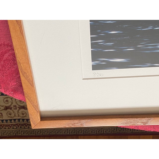 1990s Art Wolfe Signed Limited Edition 9/250 Photograph Orcas Sierra Club Oak Frame For Sale - Image 4 of 9