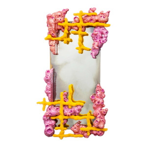 Chris Schanck "Bloom" Mirror, 2018