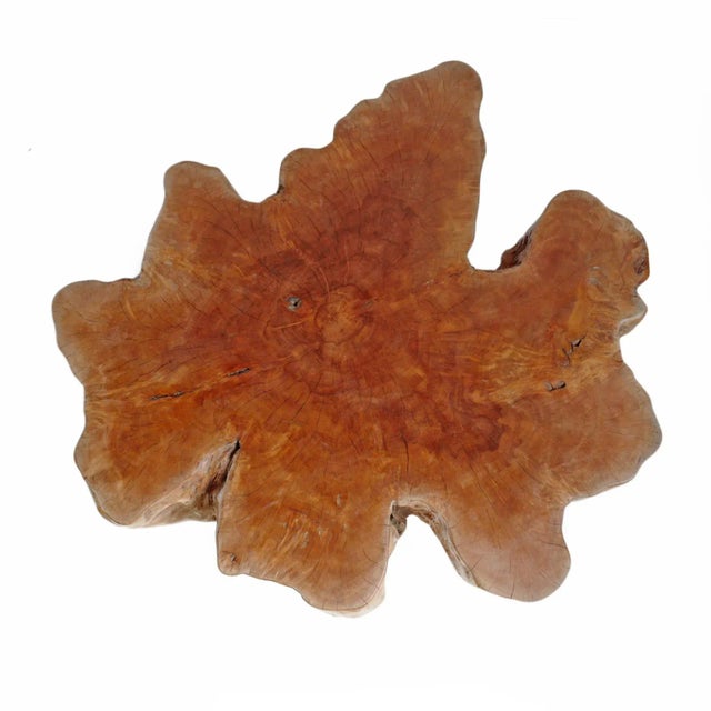 Contemporary Chestnut Lychee Stump Coffee Table For Sale - Image 3 of 5