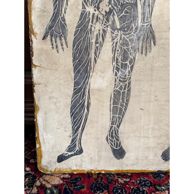 Stone 1800s Limestone Medical Lithography Plate For Sale - Image 7 of 15