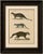 Black Brodtmann, Egyptian Mongoose, Genet & Civet, 1816, Lithograph For Sale - Image 8 of 9