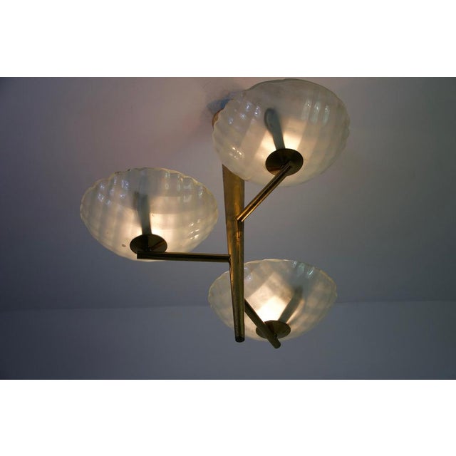 Metal Italian Brass and Glass Chandelier, 1950s For Sale - Image 7 of 18