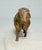 Antique Early 1900's Original Hubley Cast Iron Sheep Lamb Still Coin Bank For Sale - Image 9 of 12