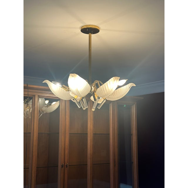 From the Curio app…. HISTORY Murano glass, originating from the island of Murano in Venice, Italy, has been renowned for...