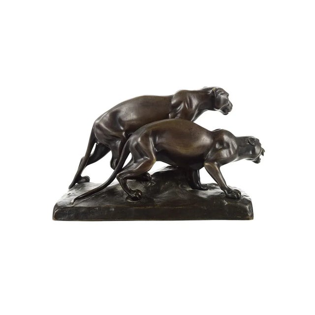 Michael Six Original Mountain Lions Bronze Sculpture For Sale In Los Angeles - Image 6 of 9