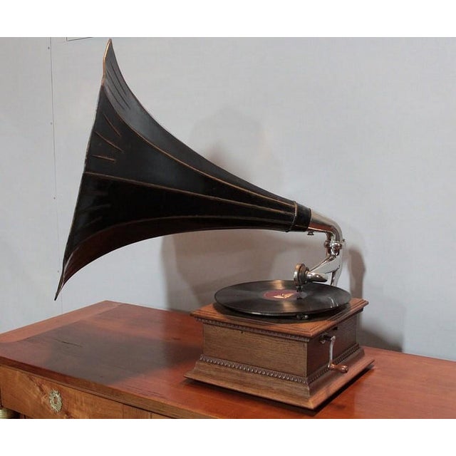 20th Century Horn Gramophone For Sale - Image 6 of 14