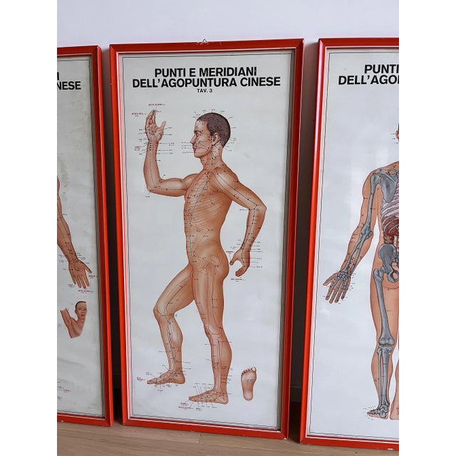 Vintage Chinese Acupuncture Points and Meridian Anatomical Tables, 1960, Set of 3 For Sale - Image 9 of 12