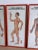Vintage Chinese Acupuncture Points and Meridian Anatomical Tables, 1960, Set of 3 For Sale - Image 9 of 12
