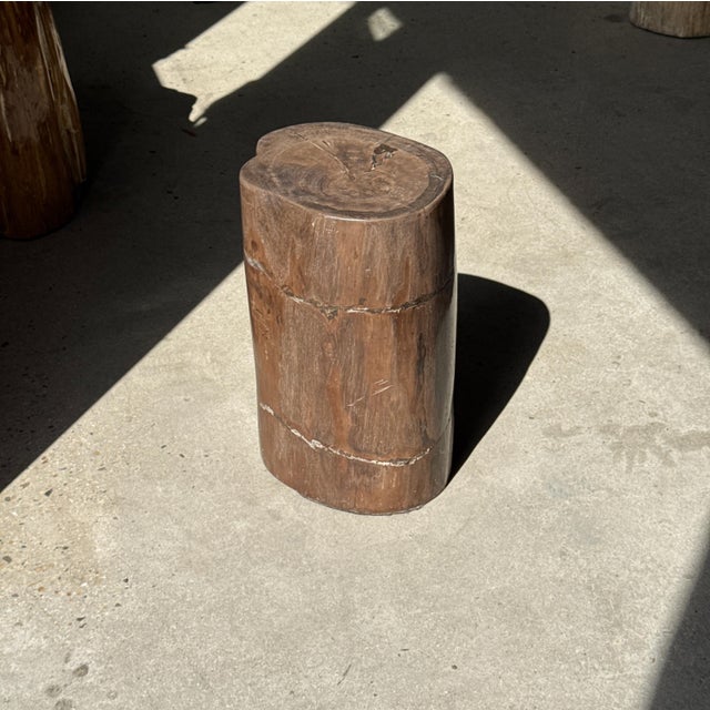 Side Table in Brown Petrified Wood, 1980s For Sale - Image 15 of 18