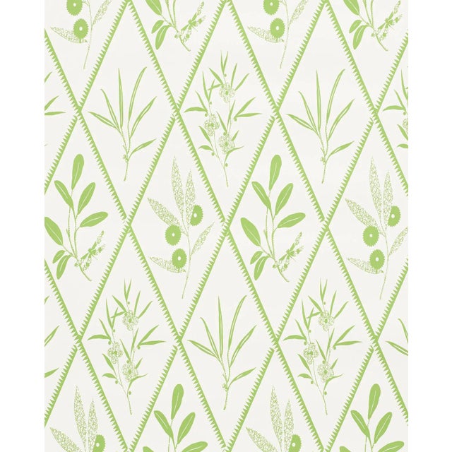 Sample - Schumacher X Charlap Hyman Herrero Endimione Wallpaper in Leaf For Sale