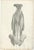 Jules Cloquet, French Anatomical Lithographs of the Spine and Pelvis, 1821, Lithograph, Set of 3 For Sale - Image 4 of 10