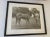 Black Early 20th Century Framed Equestrian Black and White Photo Signed by Listed Photographer Harry Freudy For Sale - Image 8 of 10
