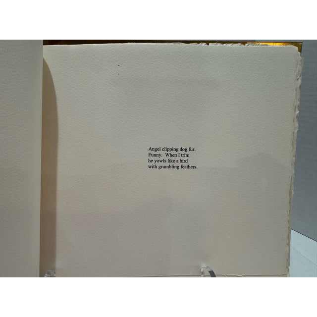 Artist Book Signed 4/8 Original Prints & Poetry Brass Cover Sarah Lawrence College 1998 For Sale - Image 13 of 18