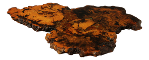 The Burlwood Co. Star Dust Redwood Burl Live Edge Coffee Table