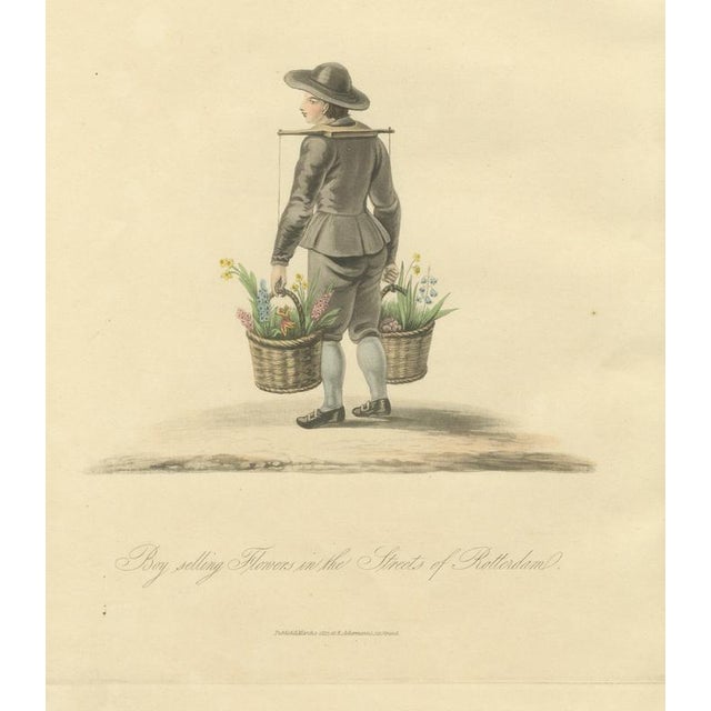 Black Miss Semple, Boy Selling Flowers in Rotterdam, Daffodil Baskets, 1817, Engraving For Sale - Image 8 of 8
