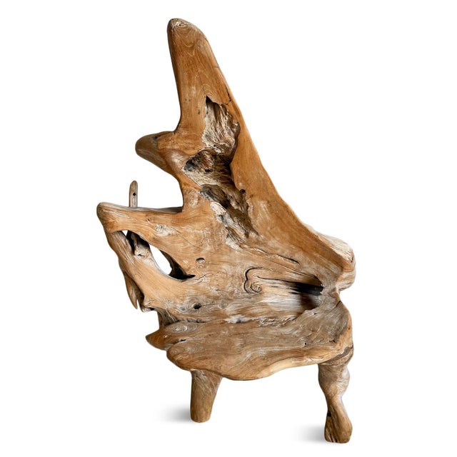 Contemporary Vintage Organic Solid Teak Root Chair For Sale - Image 3 of 7