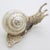 Vintage Italian Handmade Silver Life Size Snail Figurine, 1960s For Sale - Image 12 of 12