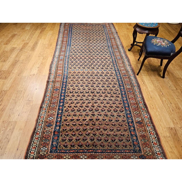 Textile Vintage Persian Kurdish Bidjar Gallery Rug, Hand-Knotted Wool, Allover Paisley Design, Camelhair & Blue, 5x12 For Sale - Image 7 of 16