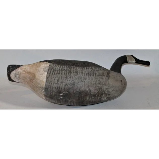 Early 20th Century Canadian Goose Decoy 1930s For Sale - Image 5 of 8