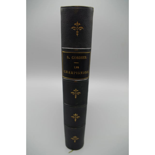 Antiquarian French Mushrooms: Les Champignons For Sale - Image 11 of 11