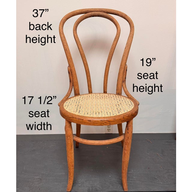 Bentwood Chair Hand Caned With Advanced Weave, Daisy and Button For Sale - Image 13 of 13