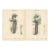 Pair of Antique Chic Parisien Fashion Plates, 1910 For Sale