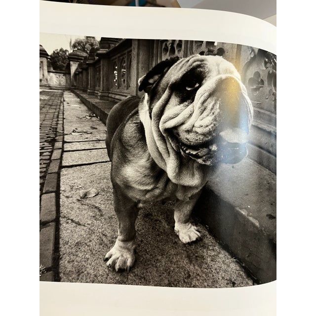 1995 Bruce Davidson Central Park Signed Book For Sale - Image 11 of 12