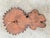 Ceramic Flower Wall Sculpture by Elisabeth Vandeweghe for Perignem, 1960s For Sale - Image 11 of 12