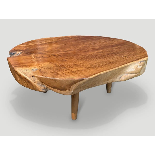 Andrianna Shamaris Mid-Century Style Organic Coffee Table For Sale - Image 9 of 18