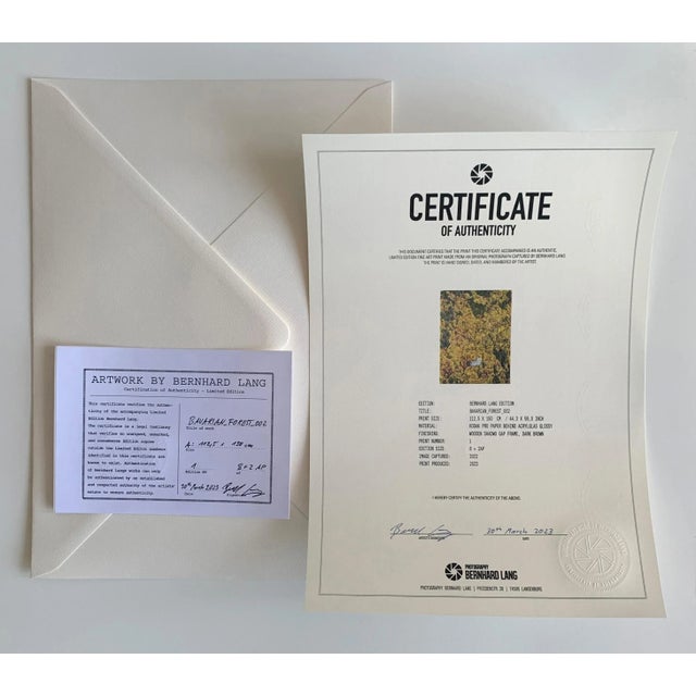 Photography "Bavarian_Forest_014" Size D Limited Edition Fine Art Photograph by Bernhard Lang For Sale - Image 7 of 7