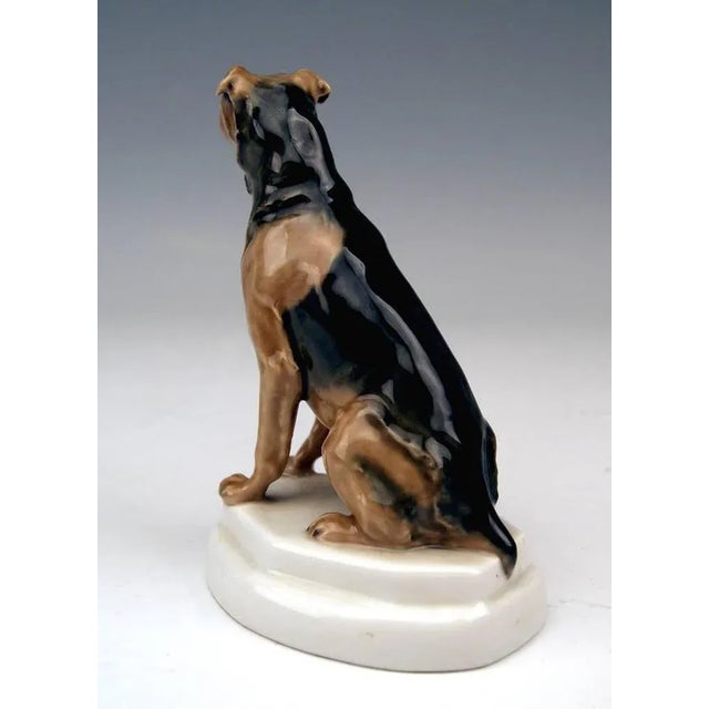 1930s Terrier Figurine attributed to Paul Walther for Meissen, 1935 For Sale - Image 5 of 8