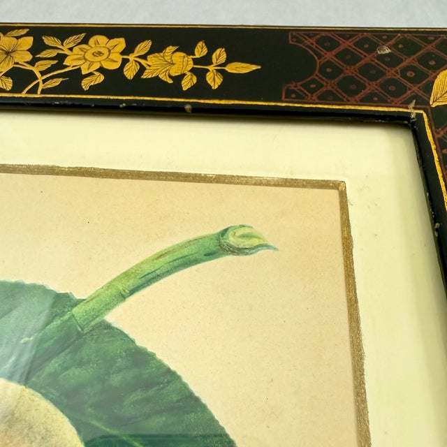 Paper English Regency Period Watercolored Fruit Print in Hand Painted Lacquered Frame For Sale - Image 7 of 14
