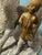 Sculpture Materials Antique Victorian Yellow Ware Sand Majolica Figural Horse & Boy Smoking Stand For Sale - Image 7 of 9