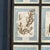 20th Century Italian Large Oak Frame with Pressed Flowers and Herbs For Sale - Image 10 of 18