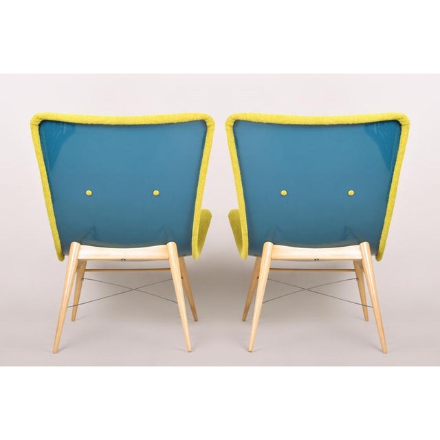 Mid-Century Beech Armchairs from M. Navrátil, Czech, 1950s, Set of 2 For Sale - Image 6 of 17