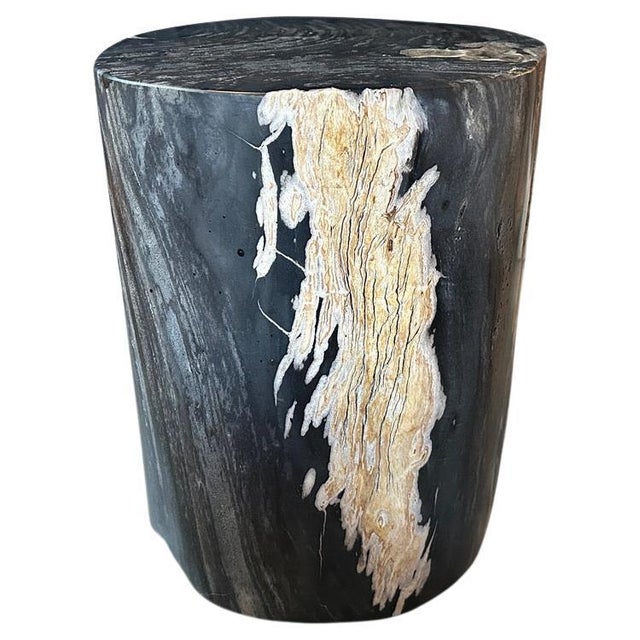 Wood Andrianna Shamaris Exquisite High Quality Petrified Wood Side Table For Sale - Image 7 of 18