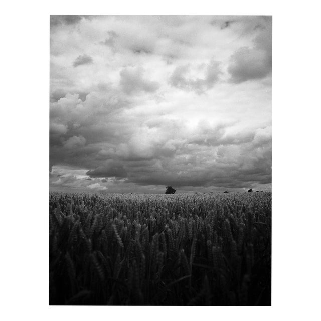 Paul Cooklin, Wheat Field, Occold III, Edition of 50 For Sale