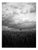 Paul Cooklin, Wheat Field, Occold III, Edition of 50 For Sale